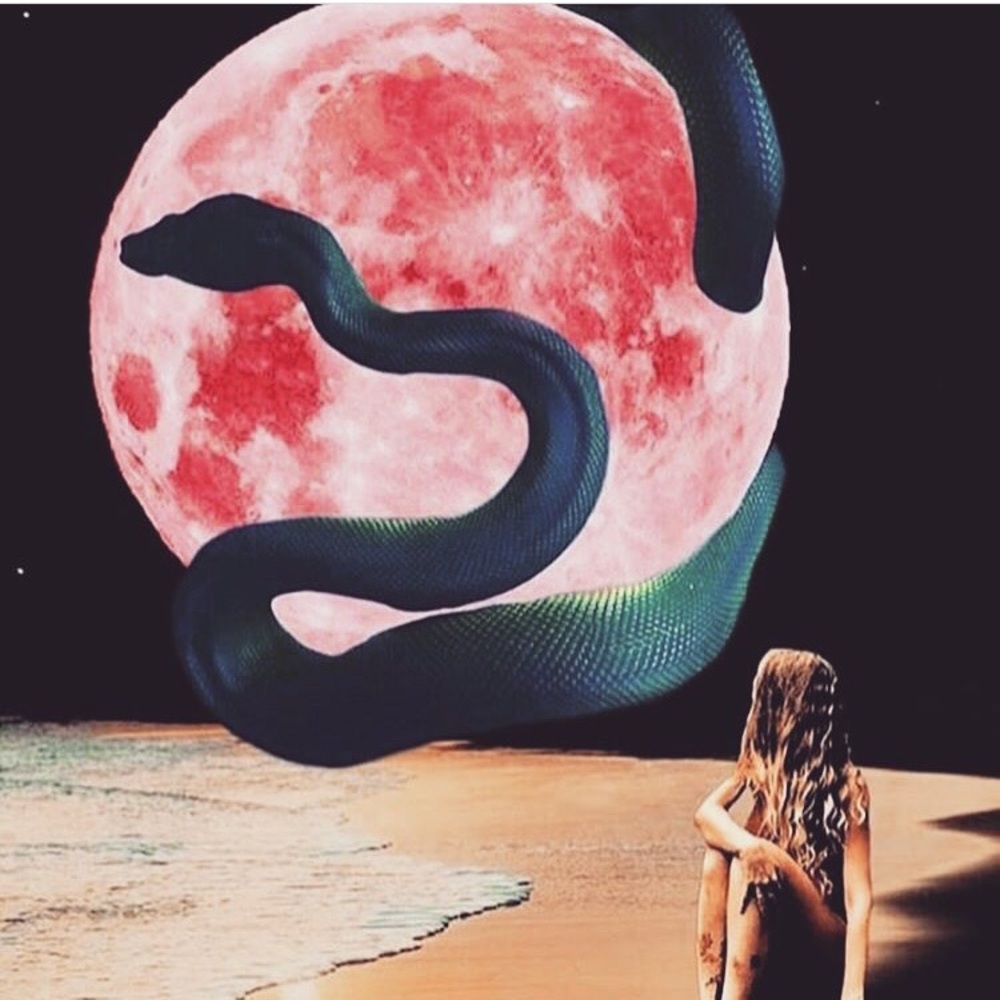 Meet your Posher, Jo